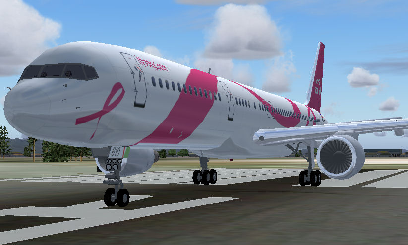 Flight Simulator 2004 Aircraft Song Pink Commemorative On September 20, 2005 Song, By Delt — 1