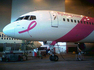 Flight Simulator 2004 Aircraft Song Pink Commemorative On September 20, 2005 Song, By Delt