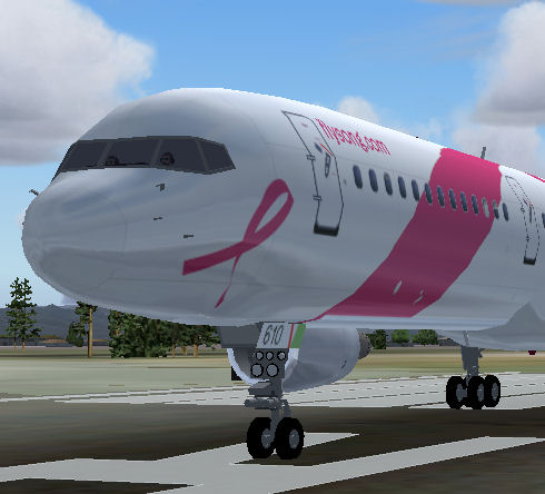 Flight Simulator 2004 Aircraft Song Pink Commemorative On September 20, 2005 Song, By Delt