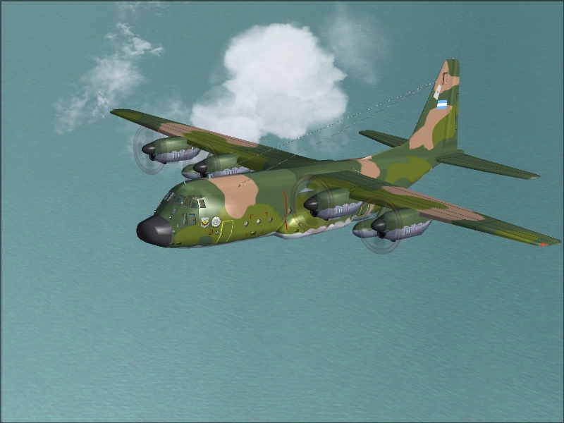 Lockheed C-130H Hercules Fuerza Aerea Argentina For Fs2004.- Model: V.zhyhulskiy.- Texture