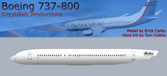 Fs2004 Boeing 737-800 Kittyhawk Paint-Kit This Bundle Contains Layered Psd Files For Erick
