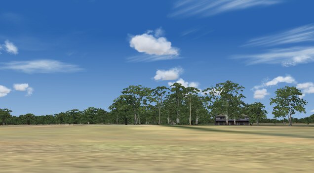 Matts Trees — 1