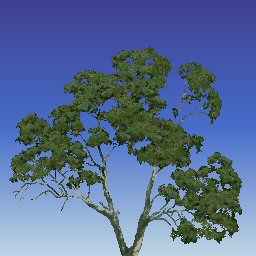Matts Trees