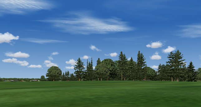 Matts Trees — 1