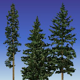 Matts Trees