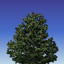 Matts Trees