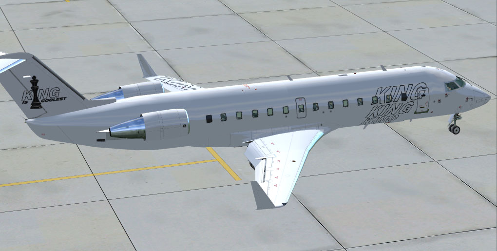 Repaint Exclusively For Project Open Sky Crj200Lr By John Elliott Young (Groundsquirrel) K
