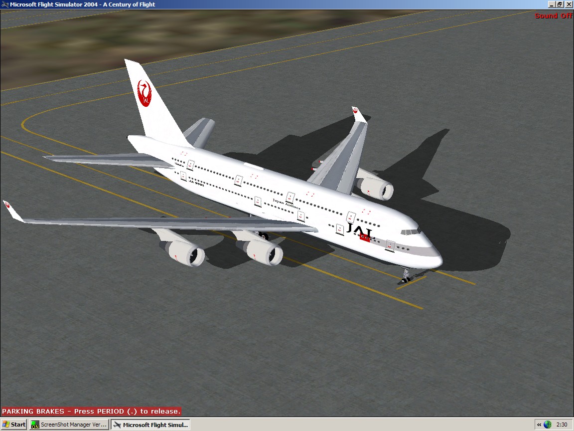 Project Boeing 999-1000 Niner-Liner — 1