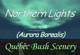 Québec Bush Scenery Update