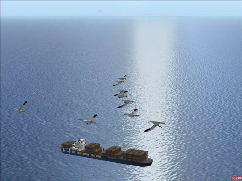Flightsim Fs2004/Fs9 Animal Simulation..fly A Flock Of Geese,A Bald Eagle Or Sail A Killer