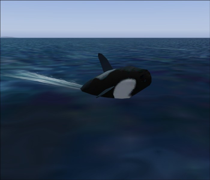 Flightsim Fs2004/Fs9 Animal Simulation..fly A Flock Of Geese,A Bald Eagle Or Sail A Killer