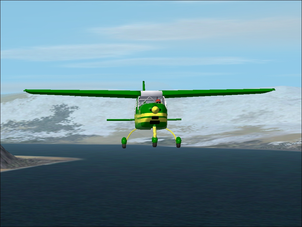 Fs2002 Tecnam P2004 Bravo