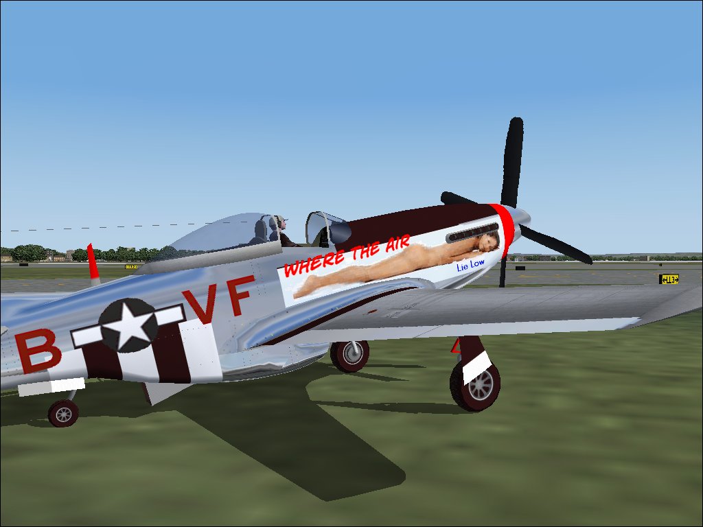 Fs2004 Textures Repaint Of P51D By Francis F