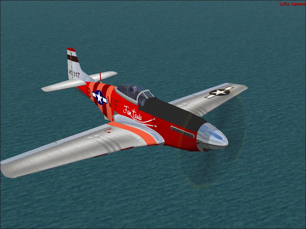 Fs2004 Textures Repaint Of P51D By Francis F