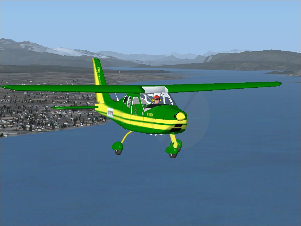 Fsx Ultralight Tecnam P2004 Bravo