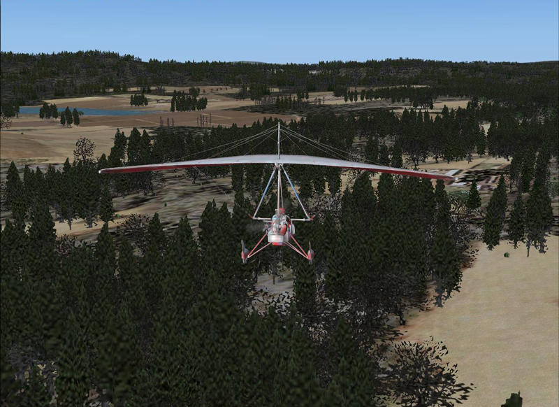 Fsx Forest V2