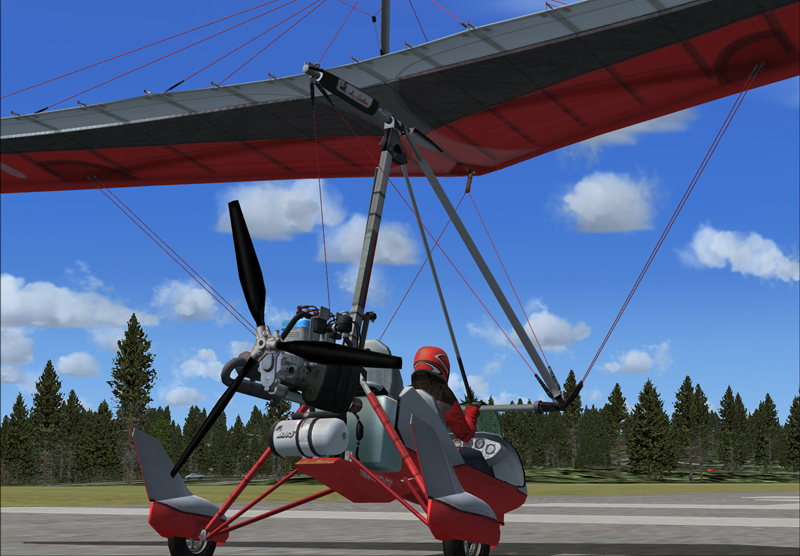 Fsx Forest V2
