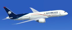 Fsx Aeromexico (New Colors) Boeing 787-8 With Different New Animated Ground Servicing (Ags