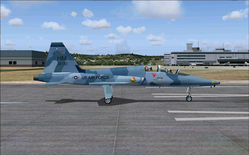 Fs2002 Fs2004 Fsx T-38 Repaint