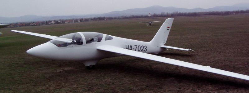 Fs2004 Mdm-1 Fox Aerobatic Glider A Polish Acrobatic Sailplane By Edward Marganski