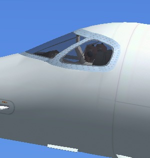 Fsx Embraer Phenom 300 Paint Kit Biz Jet By Camsim, With A New Mdl File Featuring A New An