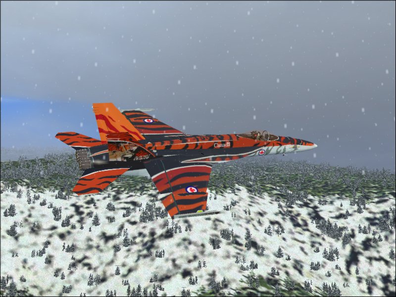Fsx/Fs2004 West Coast Demo Tiger Meet Scheme For Daisuke Yamamotos F/A F-18E — 1
