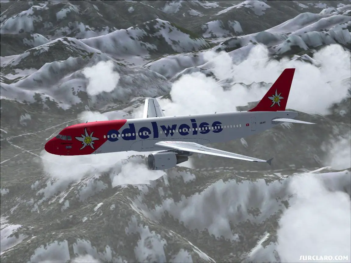 Edelweiss AirBus - Photo 10093