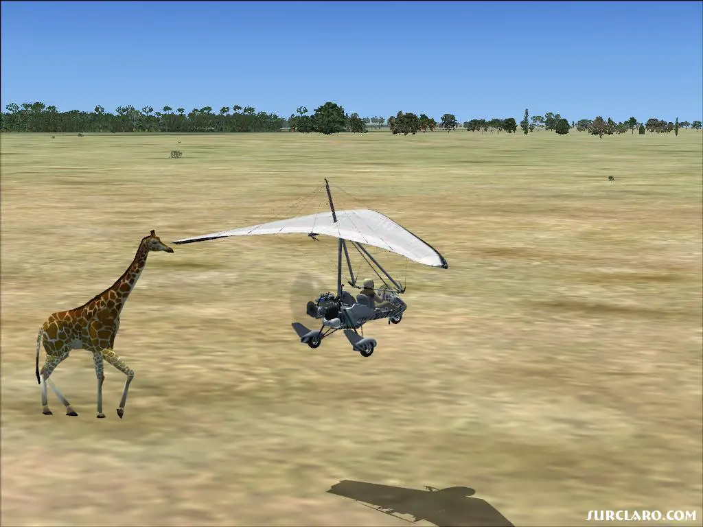 i was flying around looking for an elephant when i saw a Giraffe so i took a pic hope you like it - Photo 16516